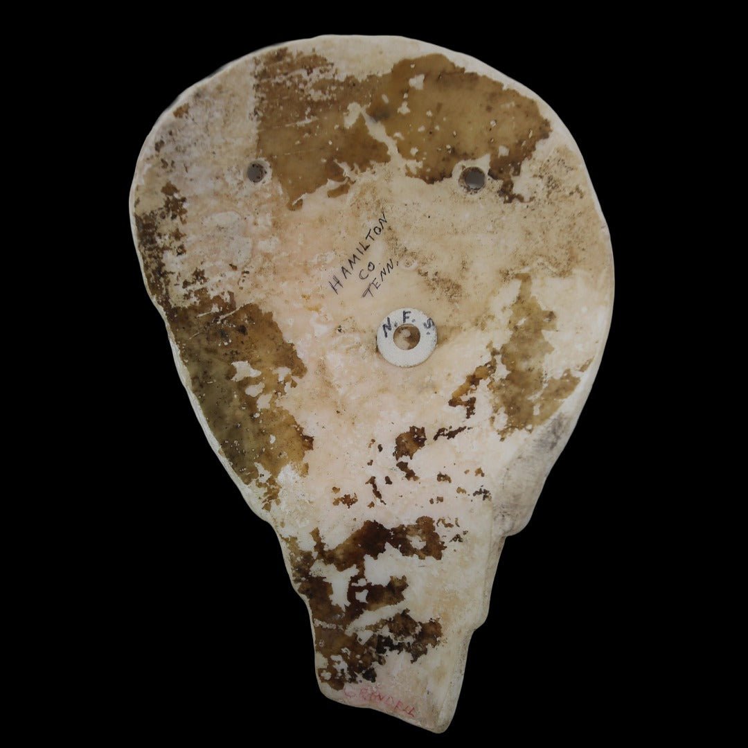Mississippian Shell Mask with Weeping Eye Motif